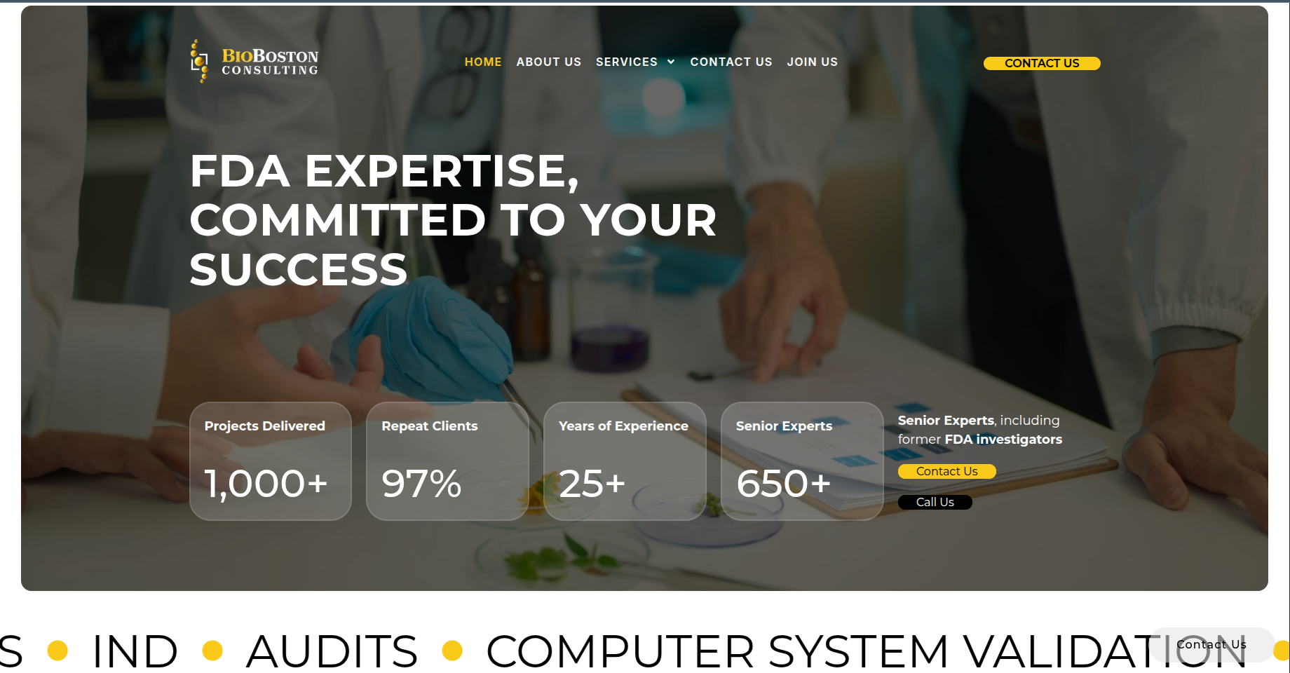 Bio Boston Consulting Website